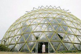 Swantje Lichtenstein