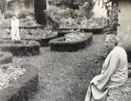 Swantje Lichtenstein