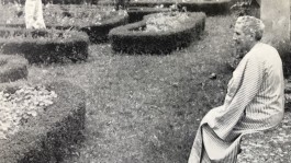 Swantje Lichtenstein