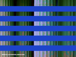 Swantje Lichtenstein