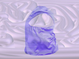 Swantje Lichtenstein