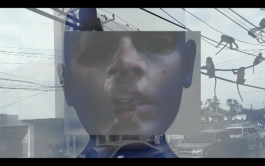 Swantje Lichtenstein