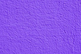 Swantje Lichtenstein