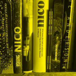 Swantje Lichtenstein