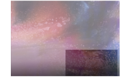 Swantje Lichtenstein