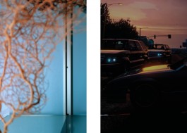 Swantje Lichtenstein