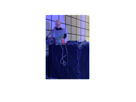 Swantje Lichtenstein