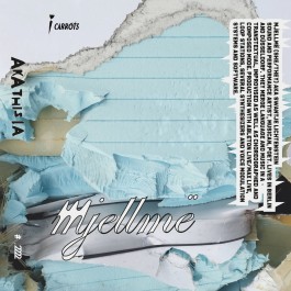 Swantje Lichtenstein