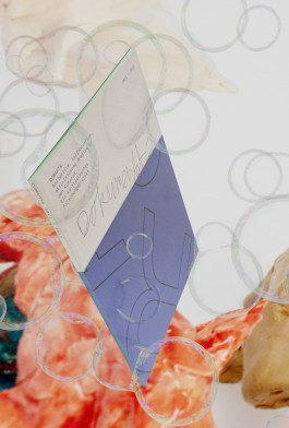 Swantje Lichtenstein