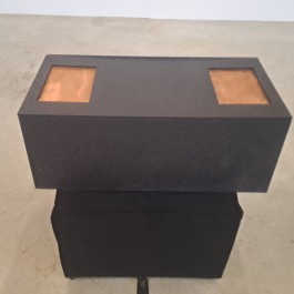 Swantje Lichtenstein