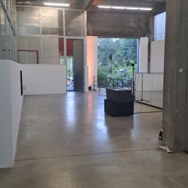 Swantje Lichtenstein