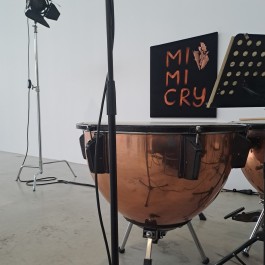 Swantje Lichtenstein