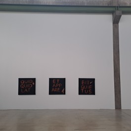 Swantje Lichtenstein