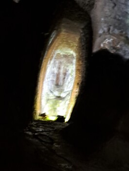 Swantje Lichtenstein