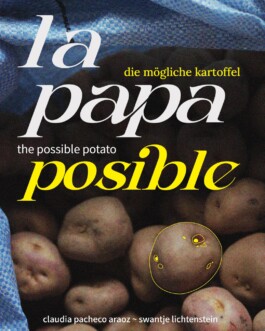 Swantje Lichtenstein