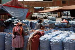 Swantje Lichtenstein