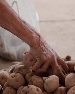 Swantje Lichtenstein